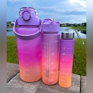 NWT Unbranded Set of 3 Ombre Reuseable Pink Drinking Containers